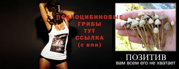 бутират Каменка