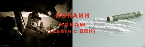 spice Алзамай