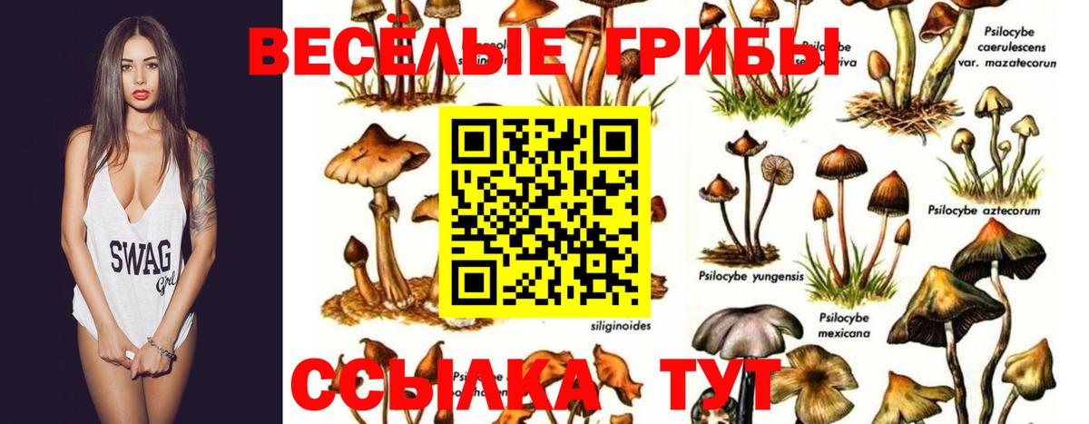 Псилоцибиновые грибы ЛСД  Псилоцибиновые грибы мухоморы  Вход с VPN  Миллерово 