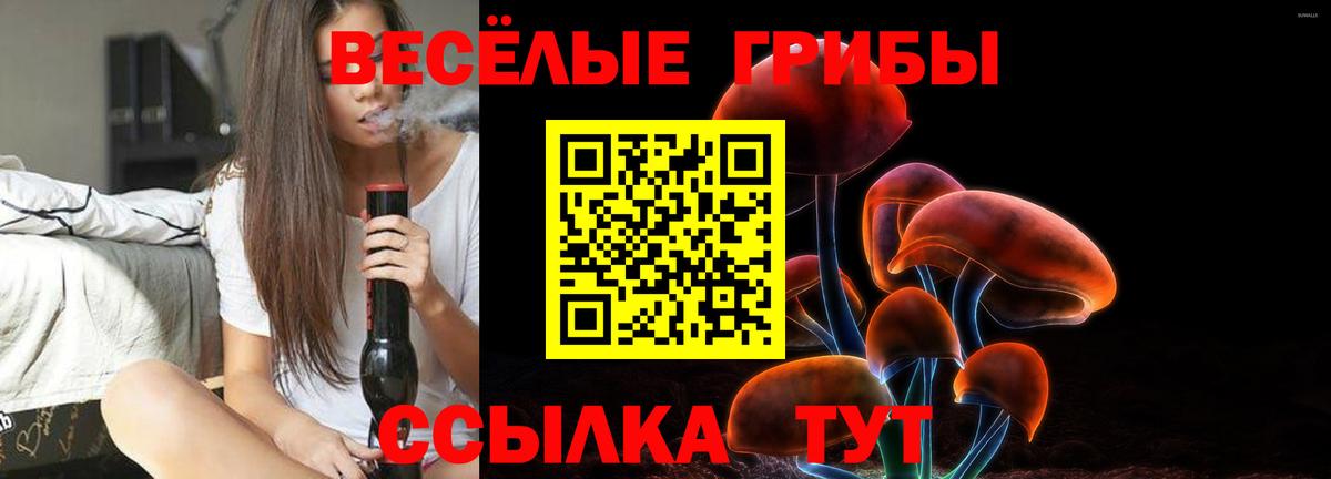 Галлюциногенные грибы мухоморы Миллерово